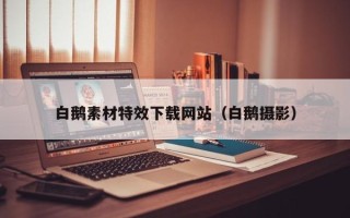 毕节白鹅素材特效下载网站（白鹅摄影）